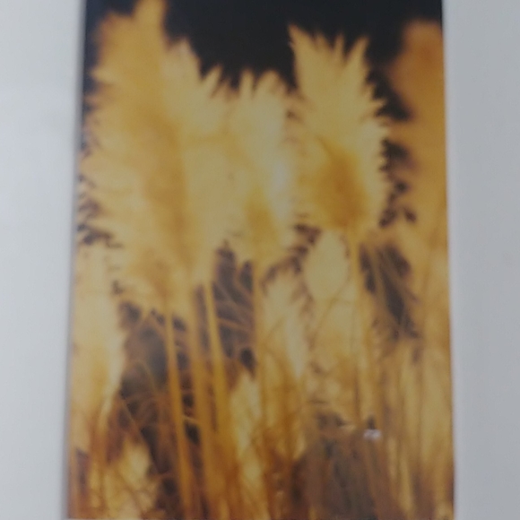 Homemade photography framework - Picture 4 of 4